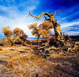 ACQUIRE合作开发《黑指JET》 预告短片分享