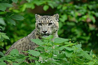 《返杀》Steam页面上线 动态影像枪战动作冒险